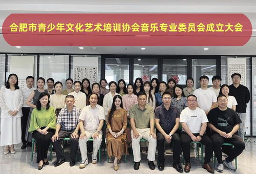 合肥市青少年文化藝術(shù)培訓(xùn)協(xié)會(huì)音樂(lè)專(zhuān)業(yè)委員會(huì)正式成立